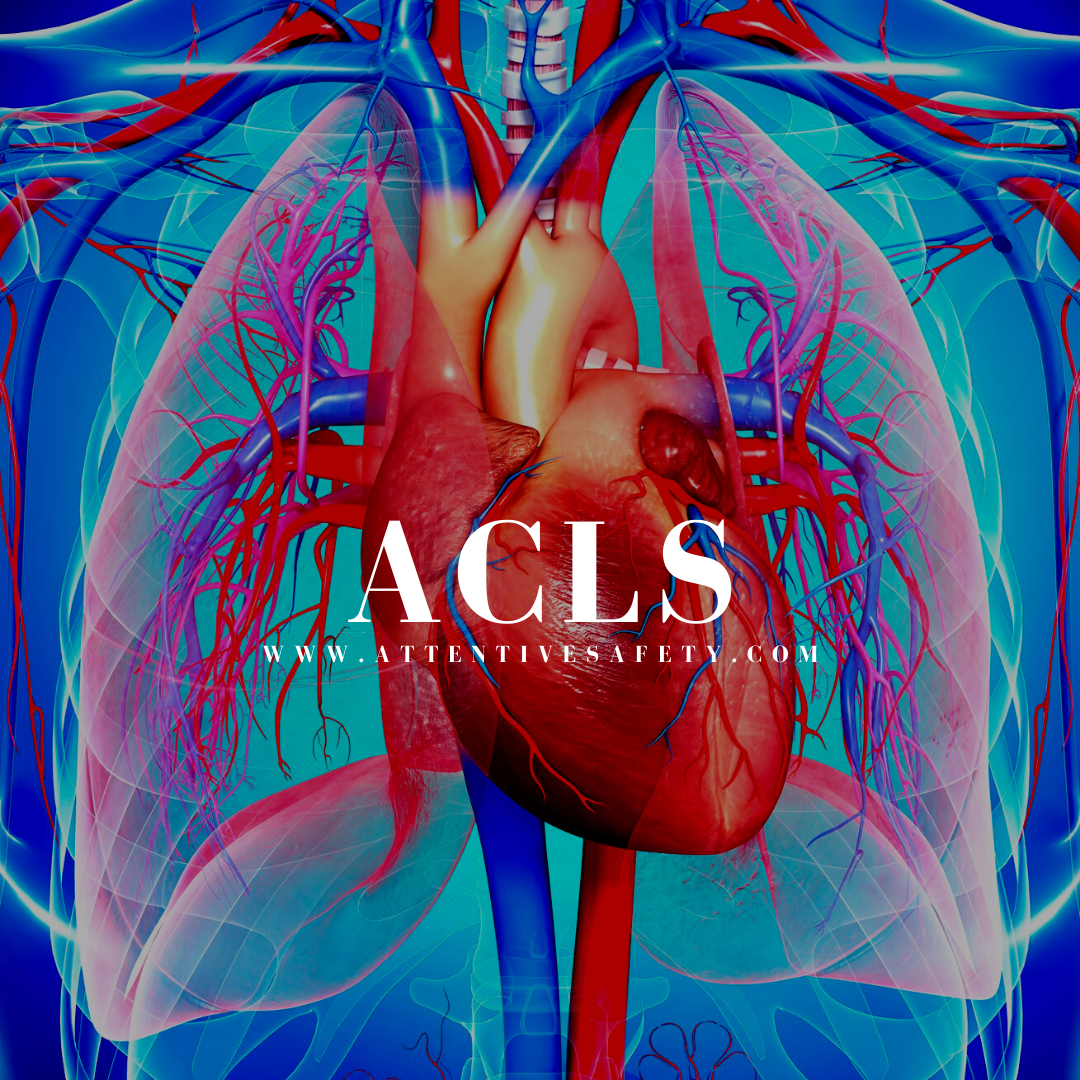 ​ACLS Provider in Irondale, Alabama