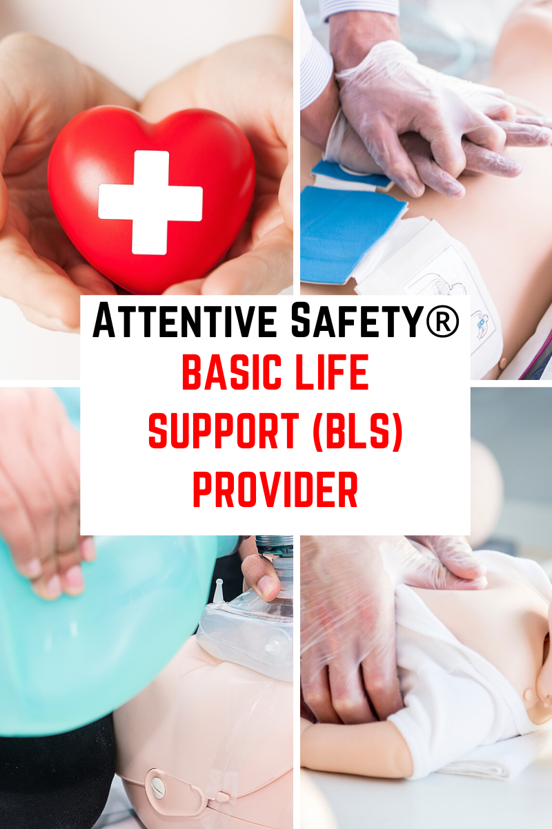 BLS Provider for Kennesaw State University Students​